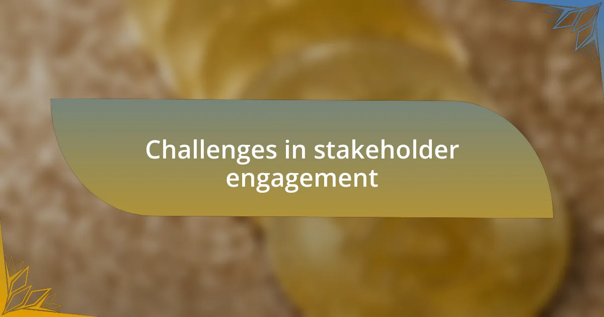 Challenges in stakeholder engagement