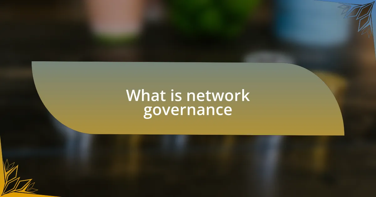 What is network governance